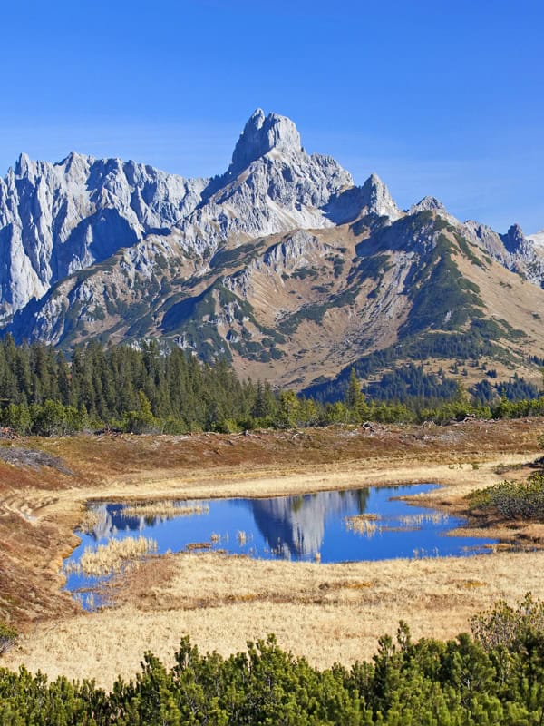 Gerzkopf Hochmoor Lammertal Salzburgerland